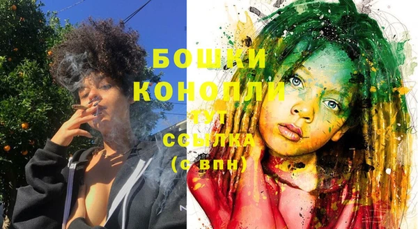 дурь Лабытнанги