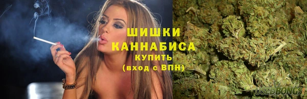 дурь Лабытнанги