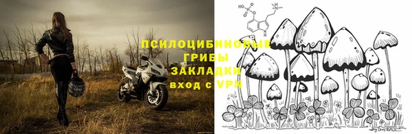 дурь Лабытнанги